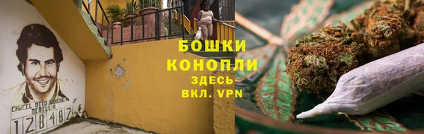 наркотики Белокуриха