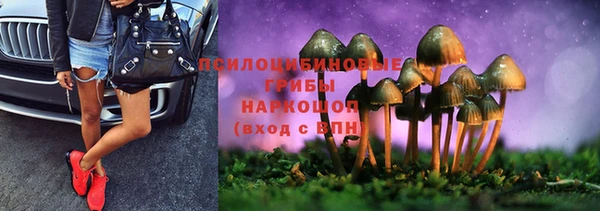 наркотики Белокуриха