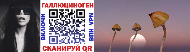 Галлюциногенные грибы ЛСД  мега ONION  Волосово  цены наркотик 
